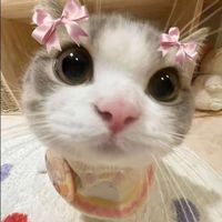 hun_bormeyy