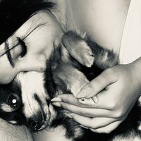 bia_vpz