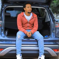lemi_d