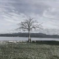 original sound - adi