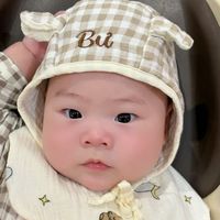 nhạc nền - Việt Phong