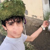 الصوت الأصلي
