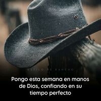 anyiauser86825680067097