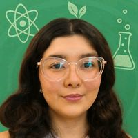 angela.stem