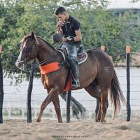 _henriquenunes1