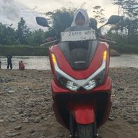 suara asli - cakcak hejo