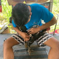 abfan_48