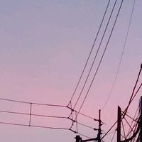 tensai11534211408537