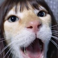 _minamirila