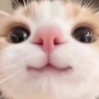 オリジナル楽曲 - あた