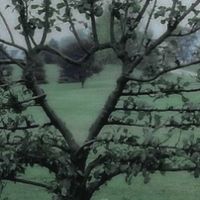 get it get it get it get it