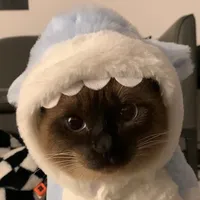 original sound - jemua2020