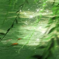 nhạc nền - Kim Thái Vi