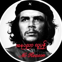 noreason119