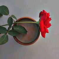 puja.sen255