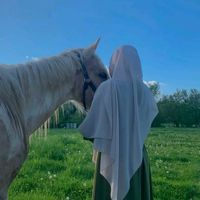 asma__ms134