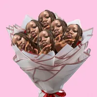 original sound - svrvh_divkite