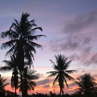 litany_dediya
