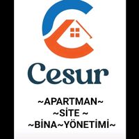 merzifonlu_engin