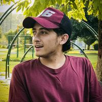 faizan_ali_shah_1
