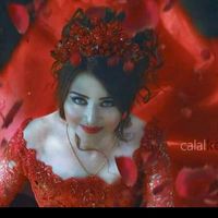 aminim_83