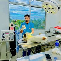 vet_dr_sohaib