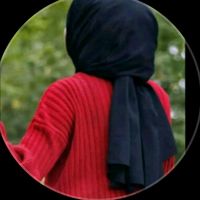elagzlm516