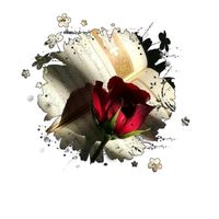 innocentpoetry1