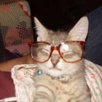 babeofbowie