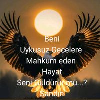 orijinal ses