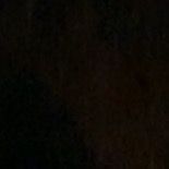bargaray_226