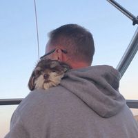beautdad