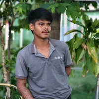 original sound - nayav826