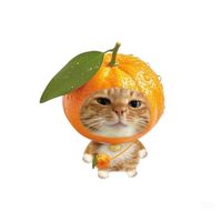 _janely_03