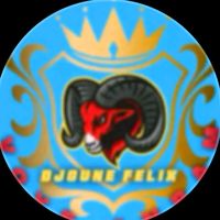 djounefelix094