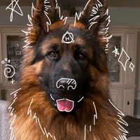 nikooo10872