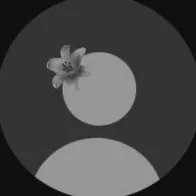 original sound - mohona.hossain_