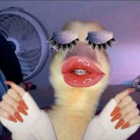 cintaa_pq