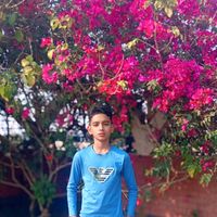 arohi0419