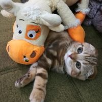 оригинальный звук