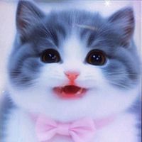 original sound - মায়ের দোয়া 🇧🇩