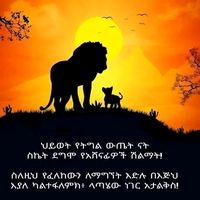 gech.gech784