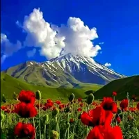 original sound - janana_10