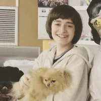 original sound - vazii_pudel