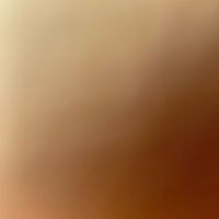 user2905212741263