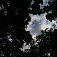 оригинальный звук