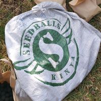 seedballskenya