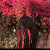 aesthestic686