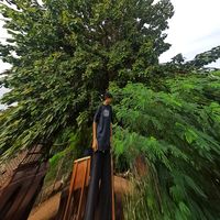 arkar.phyo169