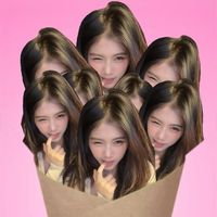 noey4623